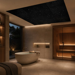 Starlight Ceiling Panel