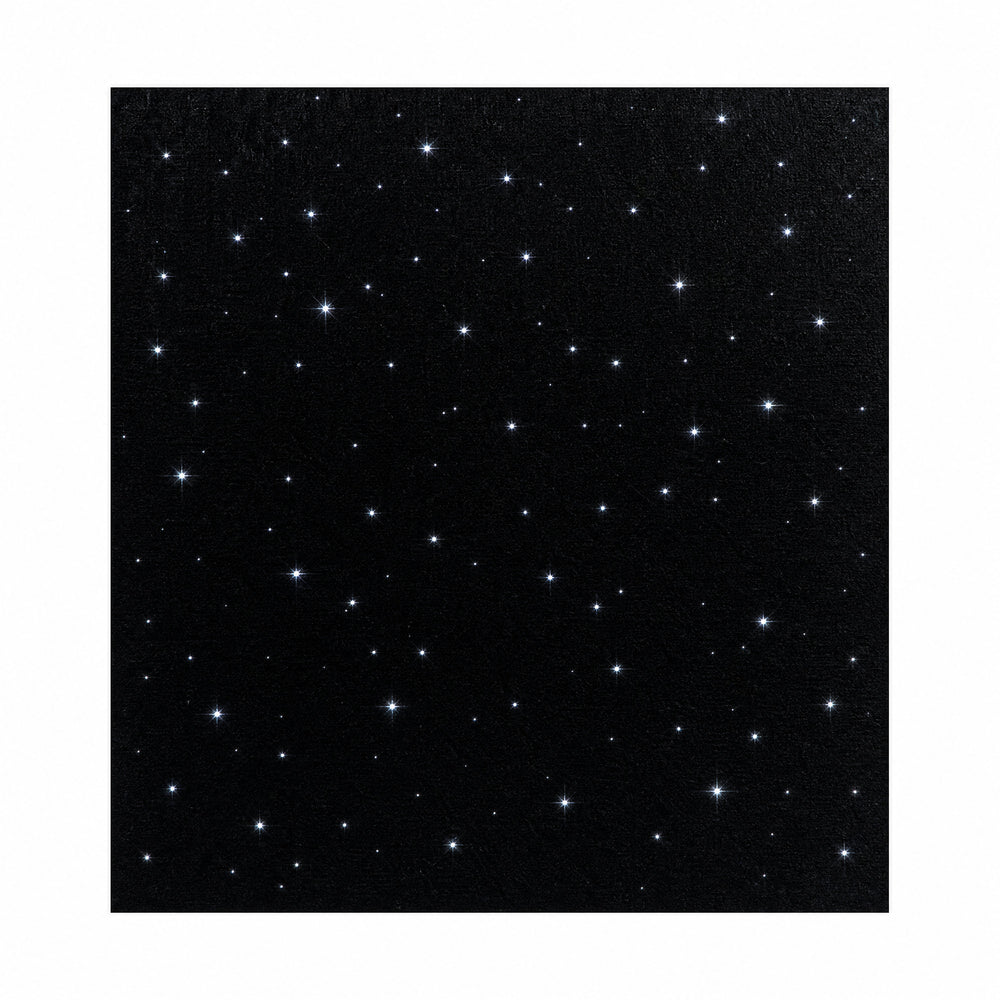 Starlight Ceiling 2X2 ft Panel