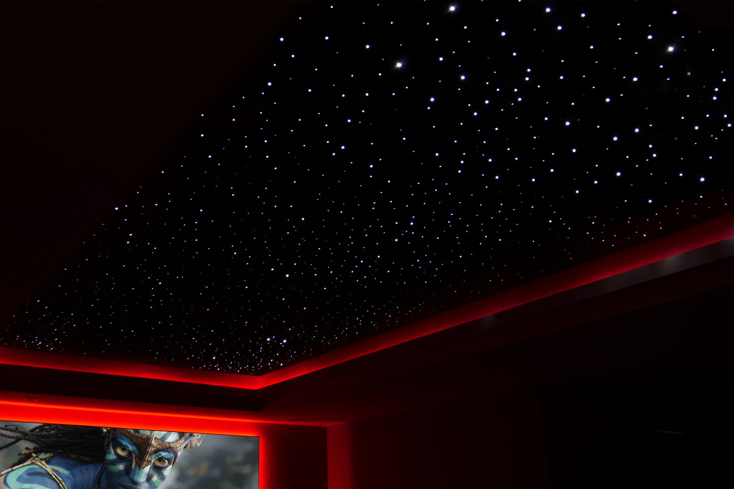 Starlight Ceiling Panel