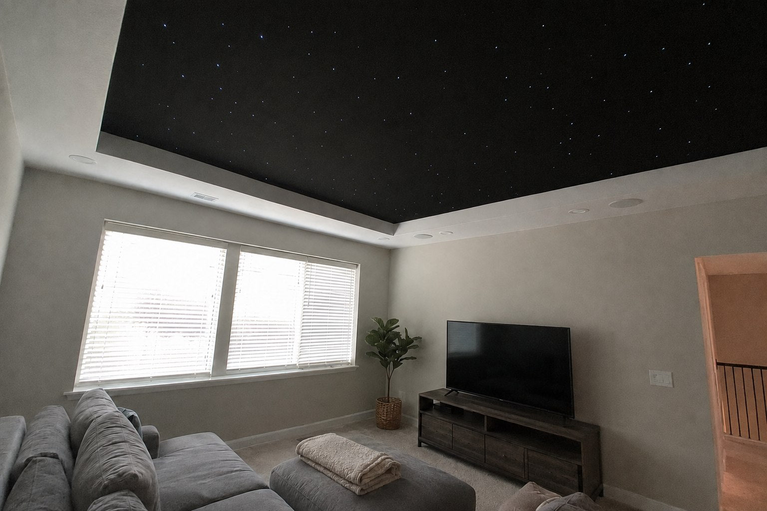 Starlight Ceiling installation example 21